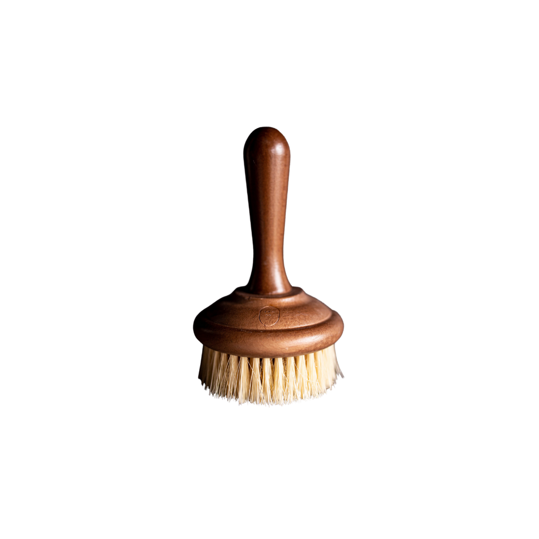 Dish Scrub Brush