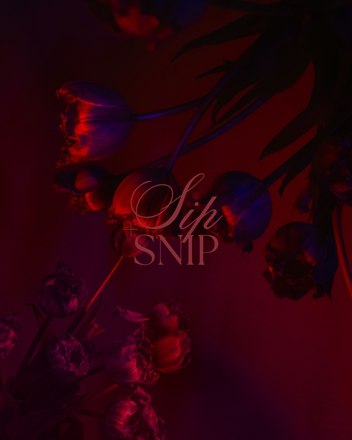 Sip & Snip Workshop - Halloween