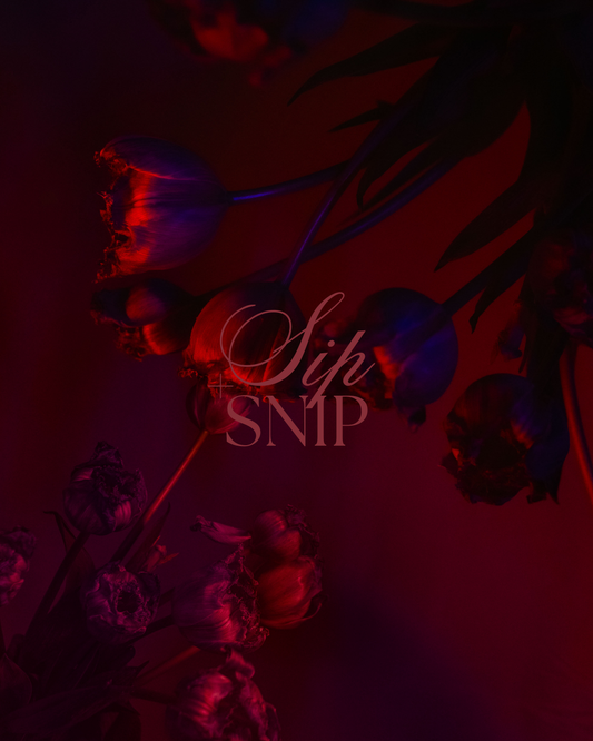 Sip & Snip Workshop - Halloween
