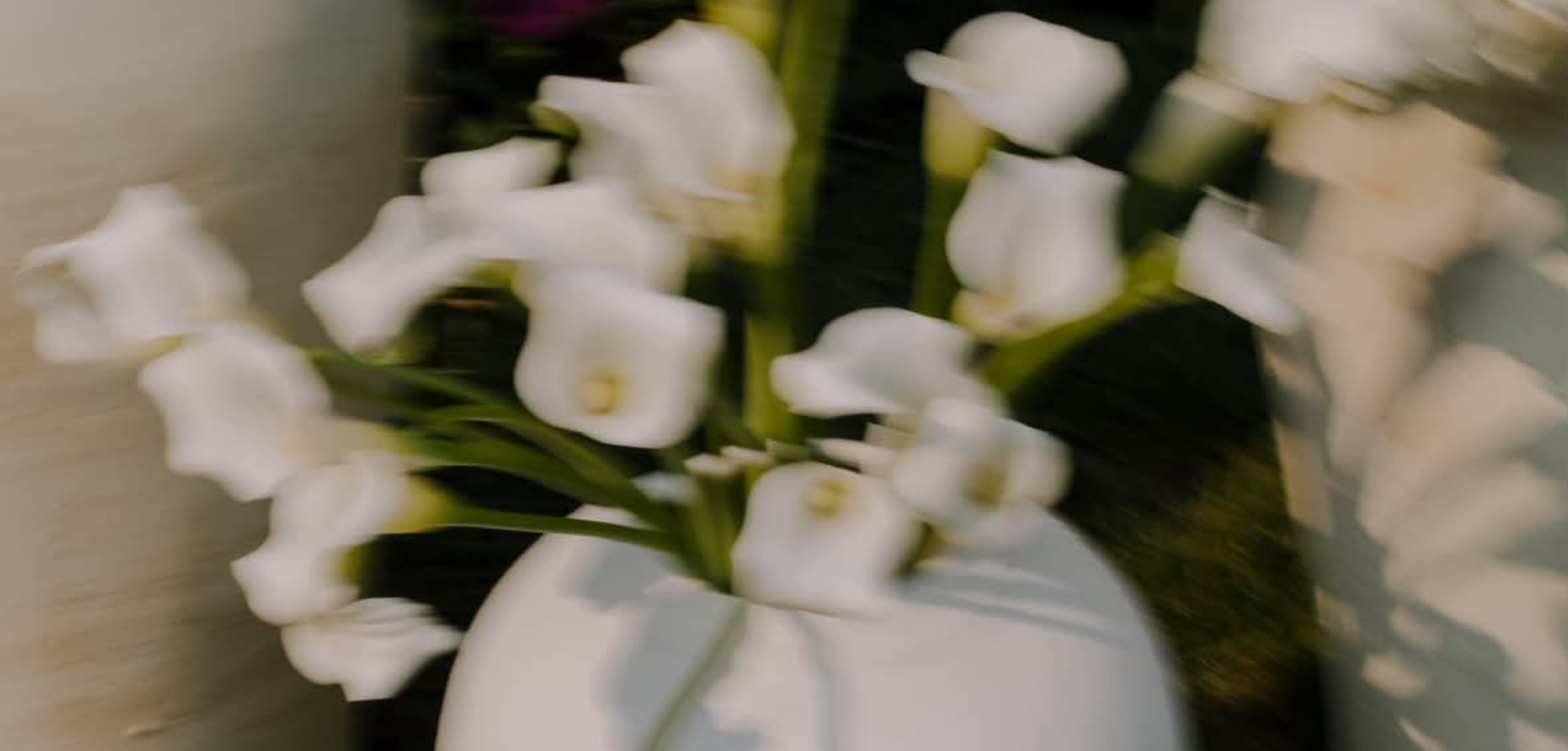 White calla lilies arranged in a white ceramic vase, photographed in soft focus with warm natural light.