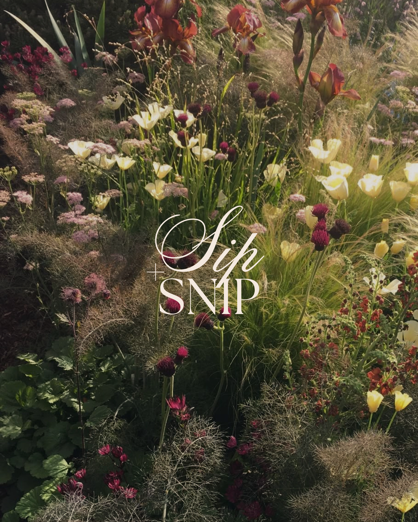 Sip & Snip Workshop - Fall Florals