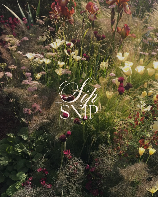 Sip & Snip Workshop - Fall Florals